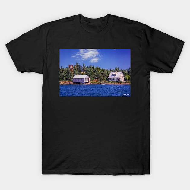 Jenkins Island T-Shirt by kenmo